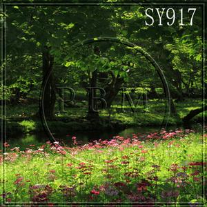 10'x10' SY917